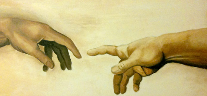 humanos