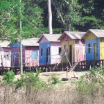 amazonia_Página_05