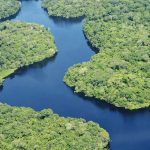 amazonia_Página_07