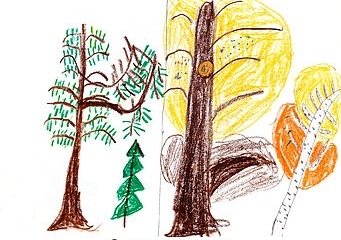 Desenhos de árvores das crianças podem indicar suas personalidades - Nei  Alberto Pies