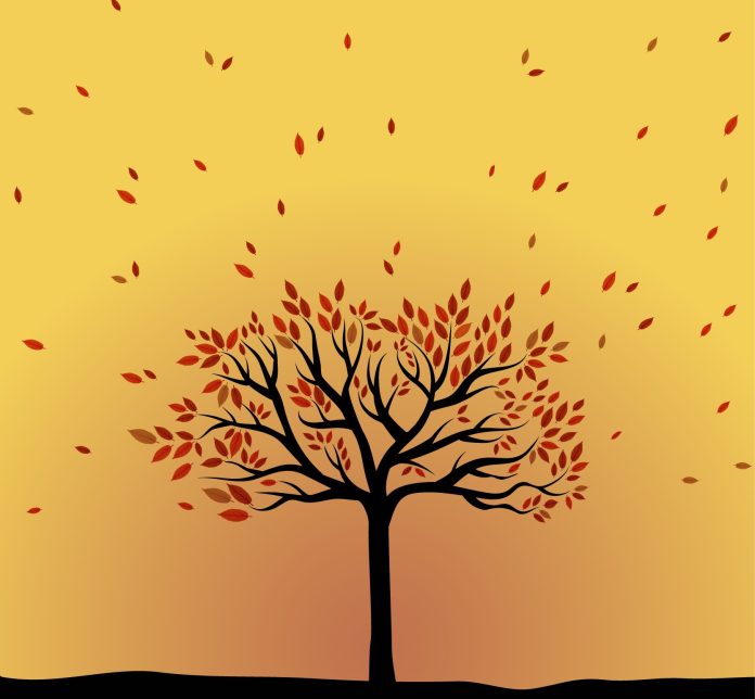 Autumn07